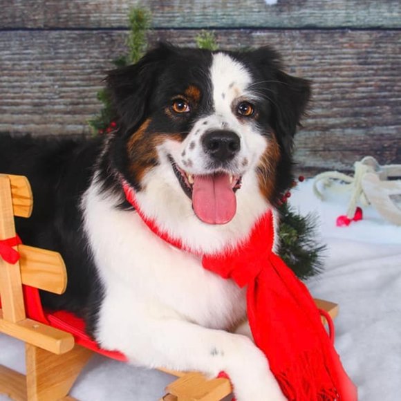 Meet your Posher, Kate ❤️ - Picture 5 of 5